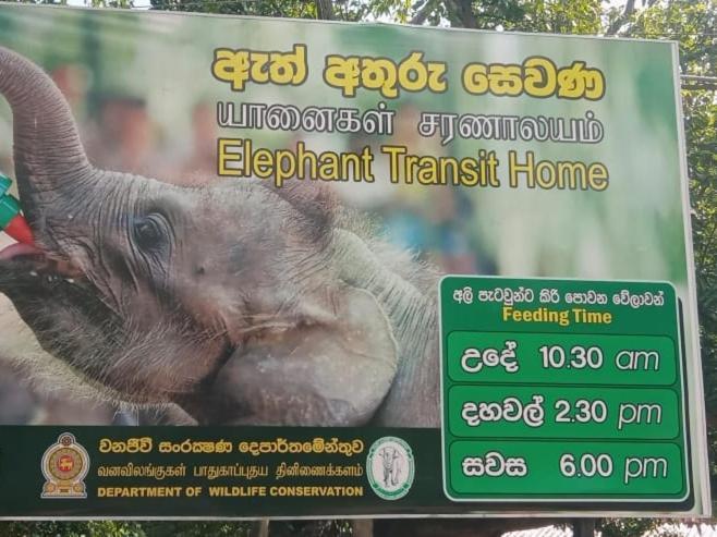 Udawalawe Wildlife & Nature Protection Bungalow Exteriör bild